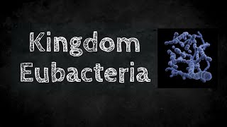 Kingdom Eubacteria [upl. by Rogerio531]