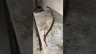 Osage Recurve Bow I Built 4 Years Ago [upl. by Juna]