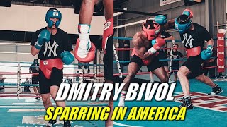 Dmitry Bivol Sparring in America [upl. by Michaelina154]