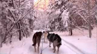 Fairbanks in the Winter [upl. by Atnaloj]