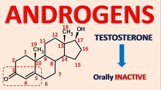 Regestrone tablet khane ke kitne din baad period aata hai  Side effects and Uses in Hindi [upl. by Antoinetta]