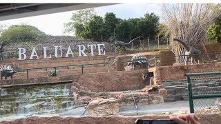 Baluarte Zoo Vigan Ilocos Norte [upl. by Christianna]