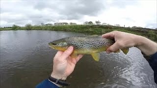 River Fishing Scotland  Trout and Grayling  1080p HD [upl. by Camroc]