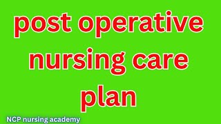 Postoperative nursing care plan  nursing care plan for postoperative patient  surgical patient [upl. by Annoiek917]