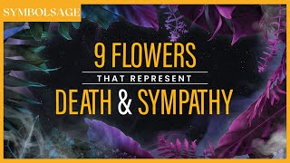 9 Flowers that Represent Death amp Sympathy  SymbolSage [upl. by Bonilla243]