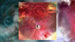 ANIMALS AS LEADERS  The Woven Web [upl. by Marou1]