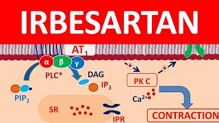 Irbesartan  Mechanism precautions side effects amp uses [upl. by Nahtnoj]