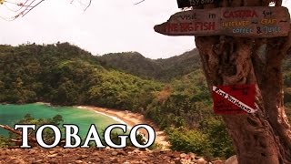 Tobago Karibik  Reisebericht [upl. by Miculek774]