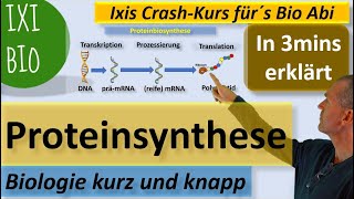 Proteinbiosynthese in 3 Minuten erklärt Transkription Translation Biologie kurz und knapp [upl. by Agueda231]