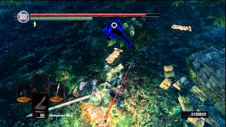 Dark Souls PvP No Respect for the Forest Hunters pt 1 [upl. by Sugna]