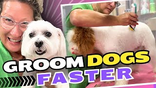 Secret to Grooming Dogs Faster⚡️ [upl. by Arihsat]