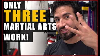 3 Best Martial Arts Styles  No Its Not Yours [upl. by Eecrad]