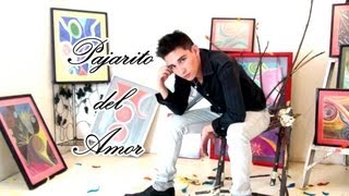 Pajarito del Amor Cover de Aldo Arturo  Carla Morrison [upl. by Hackney807]