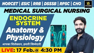 Endocrine System  Anatomy amp Physiology  NORCET amp Other Nursing Exams  Raju Sir [upl. by Nicodemus]