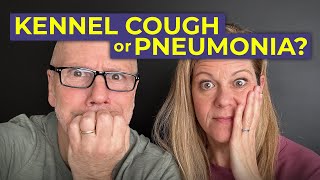 Does My Dog Have Kennel Cough or Pneumonia Mysterious Respiratory Illness in Dogs [upl. by Acemahs]