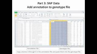 What To Do When your SNP Data Set Arrives A Case Study [upl. by Yelroc]