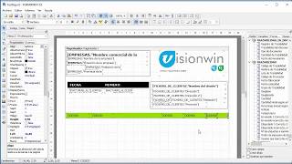 Formatos Visionwin FastReport [upl. by Myra695]