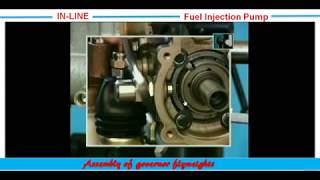 24InLine Motorpal Size MI Pump Assembly of governor flyweights تركيب أثقال أوزان الجفرنير [upl. by Carley575]