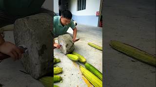 গাছের ফল দিয়ে জুতো তৈরি 👢 making shoe video 😲 shoes [upl. by Fons]