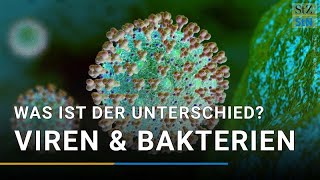 Viren oder Bakterien – wo ist der Unterschied [upl. by Tarah]