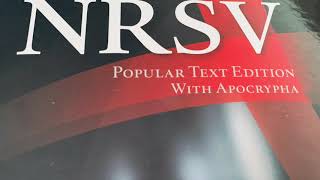 1 Esdras NRSV Bible Chapter 7 Apocryphal Audiobook [upl. by Hera102]