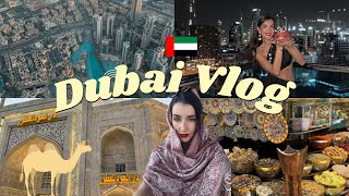 DUBAI VLOG  BIRTHDAY 🇦🇪❤️ Katerina Visseri [upl. by Ardnoed]