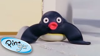 Pingu and Pinga 🐧  Pingu  Official Channel  Cartoons For Kids [upl. by Yhtac]