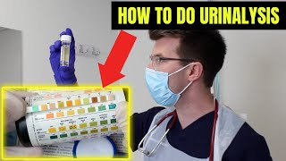 How to perform URINALYSIS  a stepbystep guide  Doctor ODonovan Clinical Skills [upl. by Nonnek]