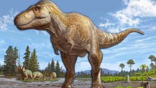 This New Tyrannosaurus Species Was A Monster  Tyrannosaurus mcraeensis [upl. by Ameline601]