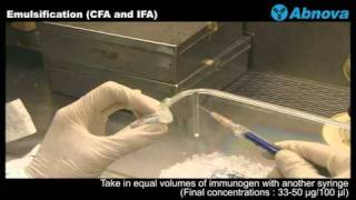 Emulsification CFA and IFA [upl. by Nussbaum]