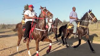 2024 Ashdown Singlefoot and Racking Horse Trail Ride [upl. by Michaeline771]