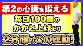 【たった2分】第2の心臓である「ふくらはぎ」を鍛える効果的なトレーニングを紹介！血液循環・夜間頻尿・冷え性改善 [upl. by Yenettirb]