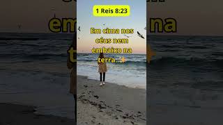 1 Reis 823 jesuscristo deus bíblia motivacional [upl. by Ahsakat]