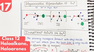 17 SN2 Reaction Nucleophilic Substitution Effect of steric hinderance on rate Haloalkane class12 [upl. by Oirram]