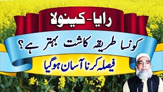 Which method of sowing Raya  Canola is better  Crop Reformer [upl. by Ithaman143]