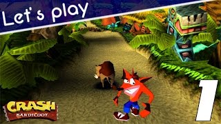 Crash Bandicoot PS1  1  La naissance ratée dune menace [upl. by Aiekam]