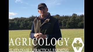 Sainfoin Nutritional Analysis  Agricology Vlog Sept 18 [upl. by Nitsu]