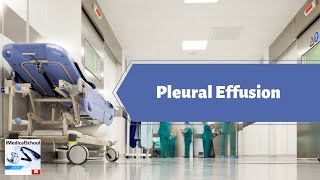 Medical School  Evaluation of a Pleural Effusion [upl. by Nagam538]