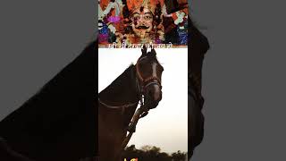 Yahan Ki Godiya cha taiyar Dhani so Gaya 🐎🐎🐎 short video [upl. by Ahsait846]