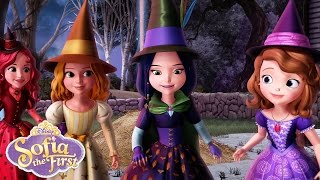 The Broomstick Dance  Music Video  Sofia the First  disneyjr [upl. by Sedgewake]