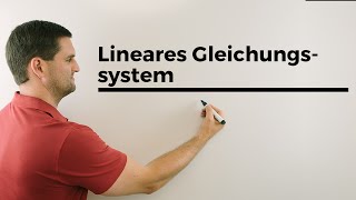 Lineares Gleichungssystem LGS zeichnerisch lösen zeichnerische Lösung  Mathe by Daniel Jung [upl. by Leaper901]