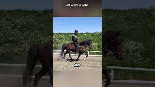 Icelandic Horses 🐴🏞️ [upl. by Syhr316]