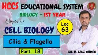 Cilia and Flagella  Structures  Part 18 Chapter 1  1ST YEAR  Dr IJAZ  LEC63 [upl. by Gaivn824]