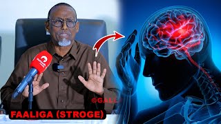 Maxaa keena cudurka Faaliga Stroke  sidee looga badbaadi karaa  Dr Gabboose ayaa sharxaya [upl. by Lotz]