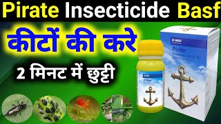 Pirate Insecticide Basf Pirate Insecticide Pirate Basf Bajrang Beej Bhandar [upl. by Tansy366]