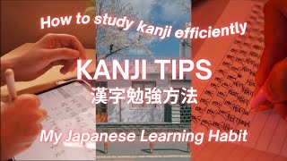 🇯🇵 How to Learn Kanji easily amp consistently  My Japanese Learning Habit [upl. by Eiduj585]