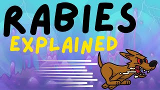 WHAT IS RABIES RABIES EXPLAINED IN 3 MINUTES  CAUSE SYMPTOMS DIAGNOSIS AND TREATMENT [upl. by Kenrick]