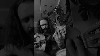 Dunkelheit  Burzum  Acoustic cover by Leiv Reed [upl. by Sillyhp]