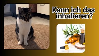 Wenn Katzen High und total auf Baldrian sind 😵‍💫 Katzen und Baldrian [upl. by Berri]