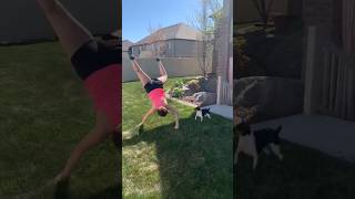 Funny Fails Of The Week  Try Not Laugh funny funnyvideos fail [upl. by Torr]